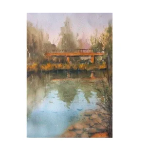 Reflejos